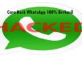 3 Cara Hack WhatsApp 100% Berhasil 10 Cara Melihat Spotify Wrapped di PC, HP & Web