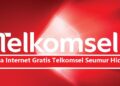 3 Cara Internet Gratis Telkomsel Seumur Hidup 11 Cara Pinjam Saldo DANA Tanpa KTP