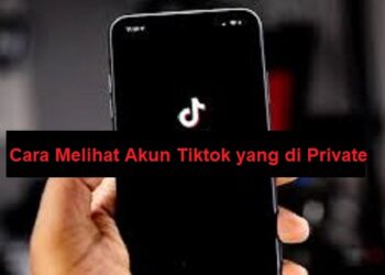 Rumus Dadu Ludo King (Untuk Pemula)