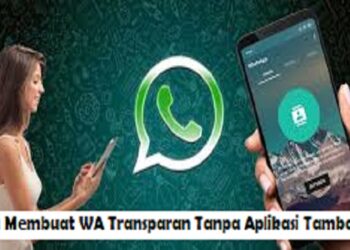 Cara Melihat Pesan WA yang Sudah Dihapus Oleh Pengirim Tanpa Aplikasi