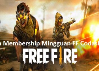 Cara Daftar Membership Mingguan FF di Codashop 8 2 Cara Melihat Story WA yang di Privasi dari Kita