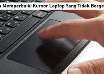 Cara Melihat Pesan WA yang Sudah Dihapus Oleh Pengirim Tanpa Aplikasi