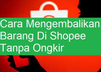 Download GB WhatsApp Pro V 19.50 Gratis