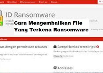 Cara Melihat Pesan WA yang Sudah Dihapus Oleh Pengirim Tanpa Aplikasi