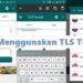Cara Menggunakan TLS Tunnel 7 APN Telkomsel GPRS Web 2025