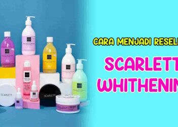 Cara Hack WA dengan Pointszone net