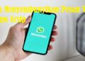 Cara Menyembunyikan Pesan WA Tanpa Arsip, Mudah dan Praktis 9 50 Akun eFootball PES 2024 Mobile Gratis, Segera Ambil!