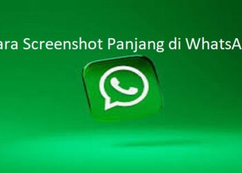 Download GB WhatsApp Pro V 19.50 Gratis