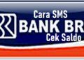 Cara Cek Saldo BRI Dengan SMS Banking dan Metode Lainnya 9 Cara Mengetahui PIN ATM Orang Lain dengan Nomor Rekening