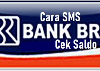 Cara Cek Saldo BRI Dengan SMS Banking dan Metode Lainnya 8 Cara Mengetahui PIN ATM Orang Lain dengan Nomor Rekening