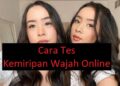 4 Cara Tes Kemiripan Wajah Online Gratis 10 Rumus Dadu Ludo King