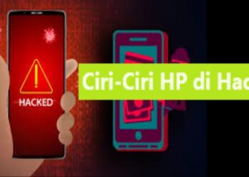 Download GB WhatsApp Pro V 19.50 Gratis