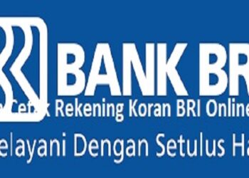 Cara Cetak Rekening Koran BRI 8 Cara Video Call Sambil Mengetik di WhatsApp