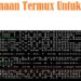 Kegunaan Termux Untuk Hack 7 30 Bio RP Aesthetic Keren Bahasa Inggris dan Artinya