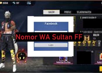 Cara Cari Jodoh Duda Mapan Siap Nikah