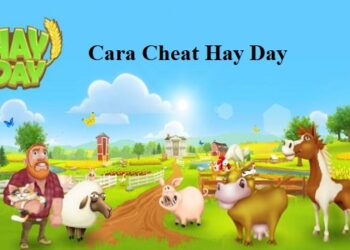 Cara Cari Jodoh Duda Mapan Siap Nikah