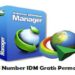 36 Serial Number IDM Gratis Permanen 7 Download Script FF Cheat VIP Free Fire