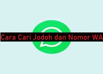 Cheat Maxwin Olympus