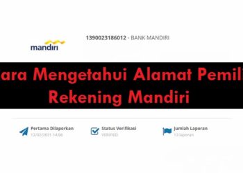 Cheat Maxwin Olympus